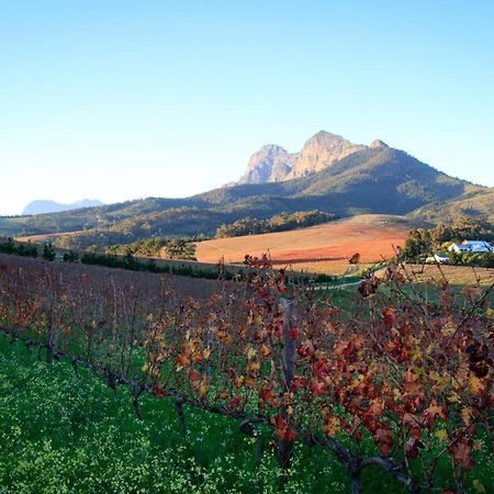 Bed and Breakfast Marianne Wine Estate Stellenbosch Zewnętrze zdjęcie