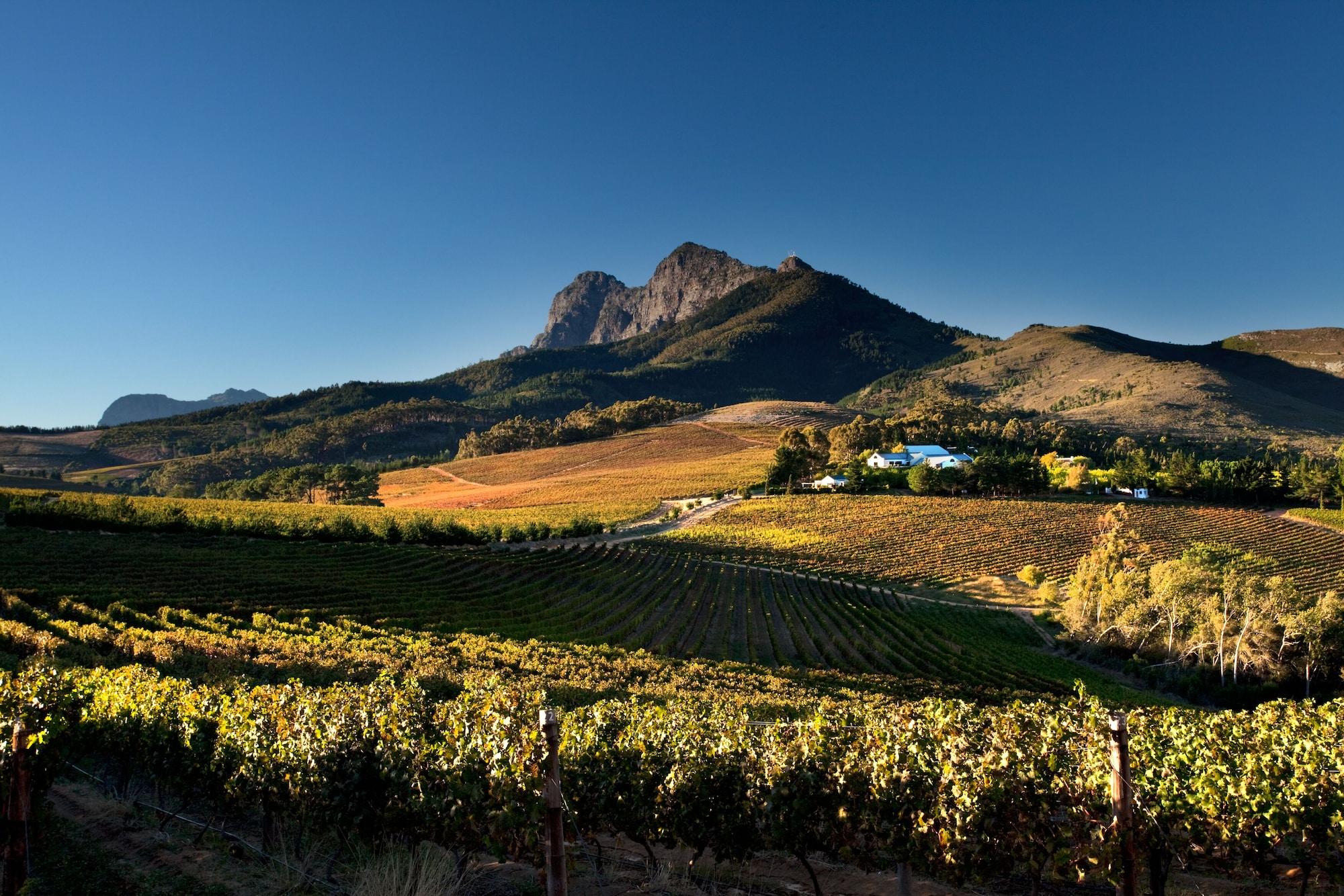 Bed and Breakfast Marianne Wine Estate Stellenbosch Zewnętrze zdjęcie