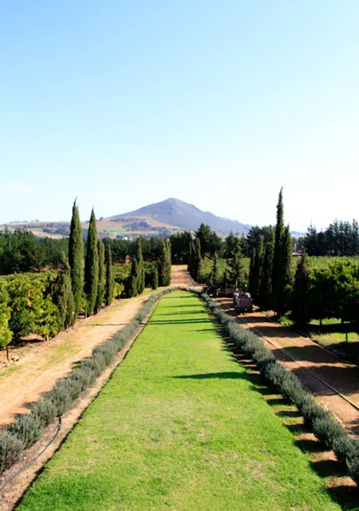 Bed and Breakfast Marianne Wine Estate Stellenbosch Zewnętrze zdjęcie