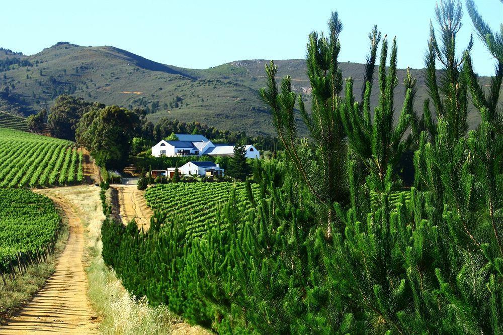 Bed and Breakfast Marianne Wine Estate Stellenbosch Zewnętrze zdjęcie