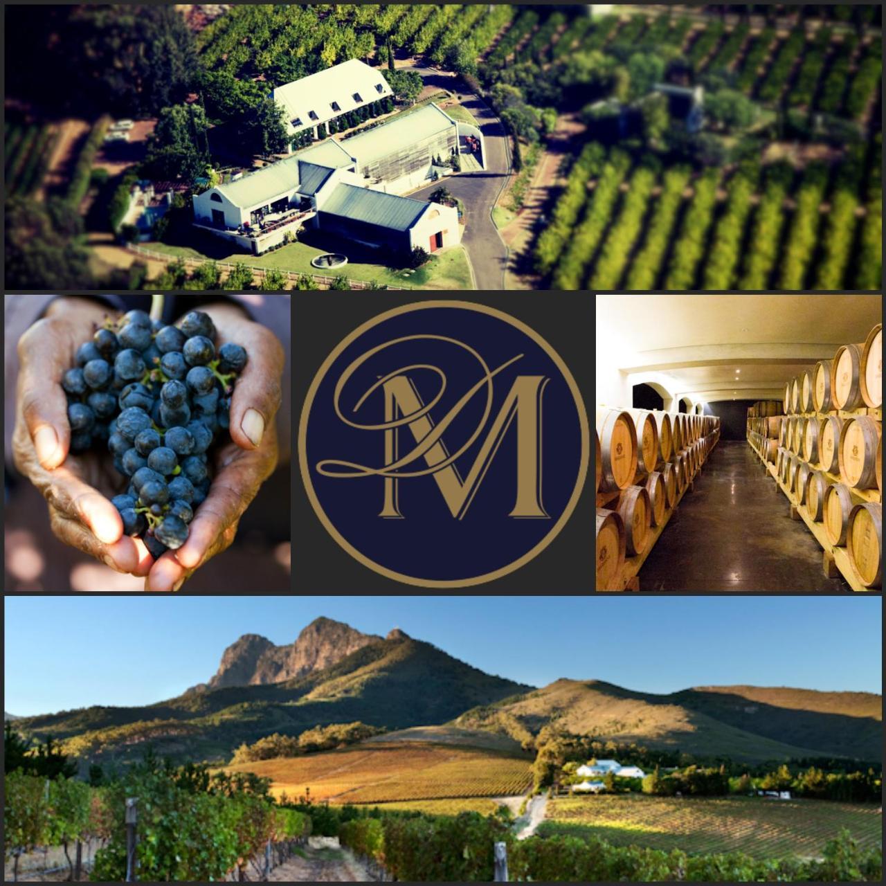 Bed and Breakfast Marianne Wine Estate Stellenbosch Zewnętrze zdjęcie